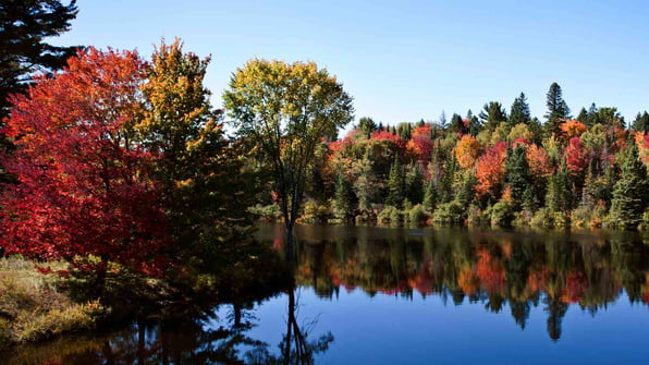 Township of Lake of Bays in Muskoka Chooses Cloudpermit 