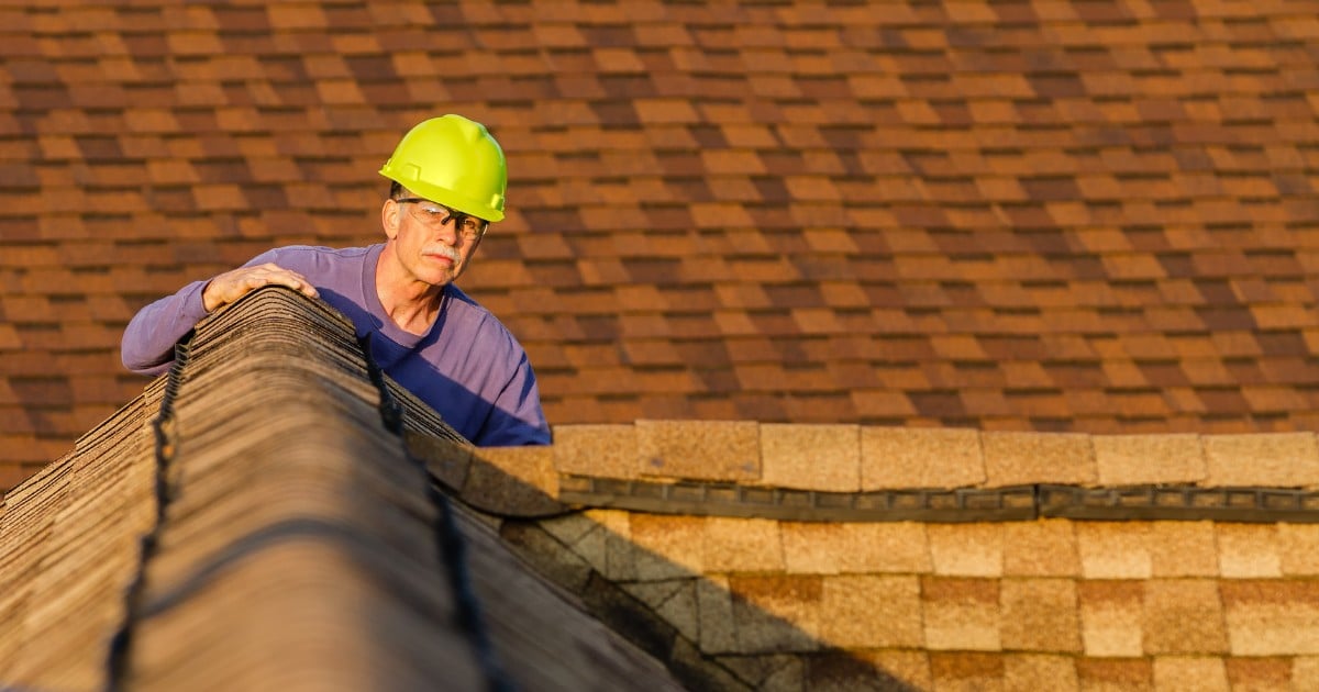 Rooftop inspector